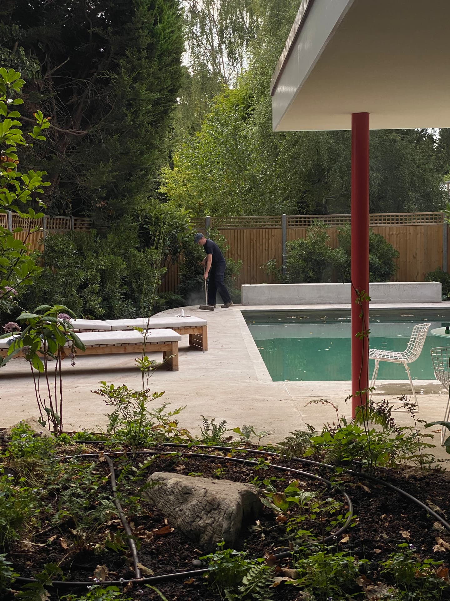 Sweeping the poured concrete poolside terrace beside newly planted ferns and rocks