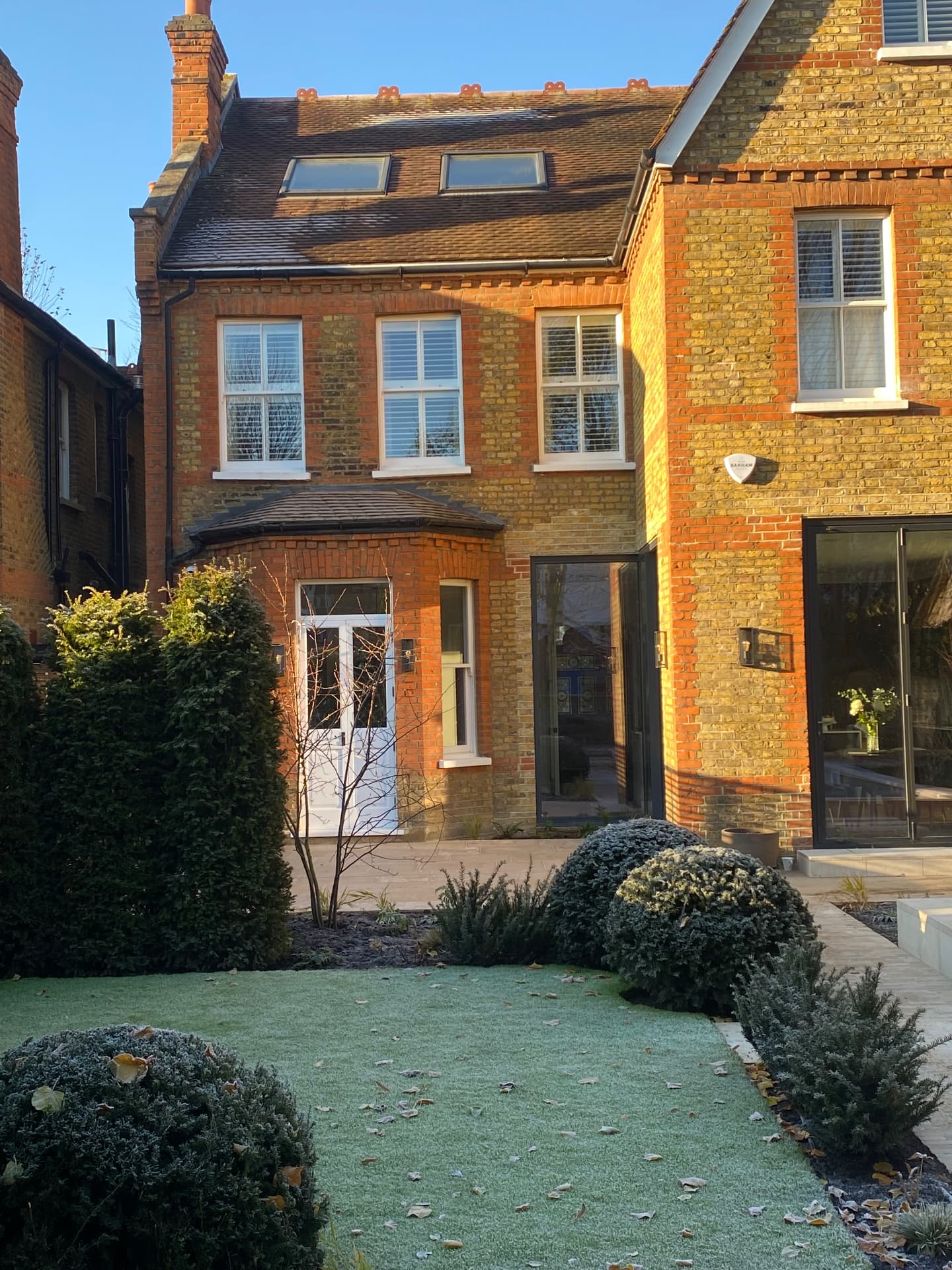 Frost-touched London town garden with clipped yew forms and a young multi-stem tree