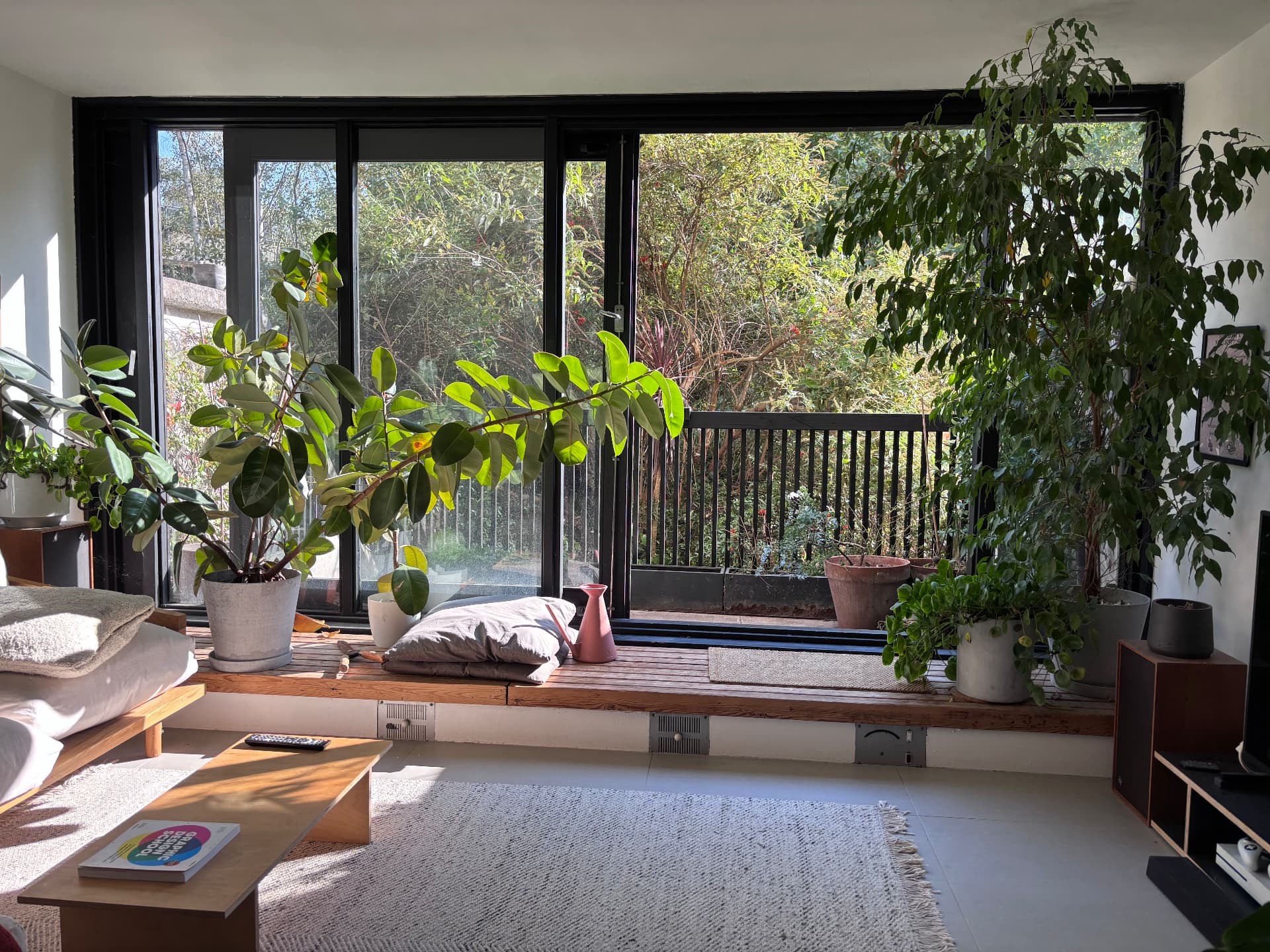Interior looking out through ficus and rubber plants to a planted balcony