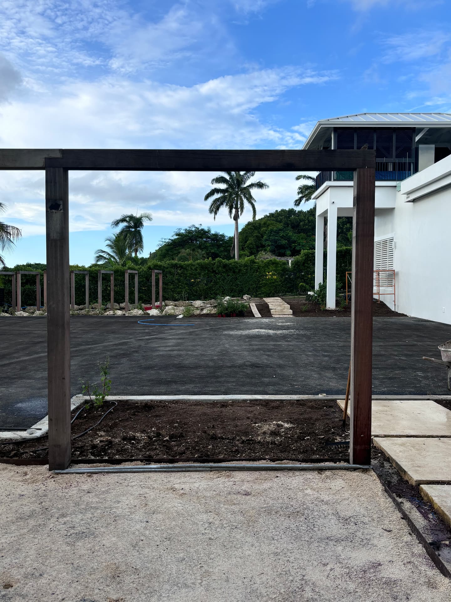 Timber pergola looking out over the drive to palms and the ridge beyond