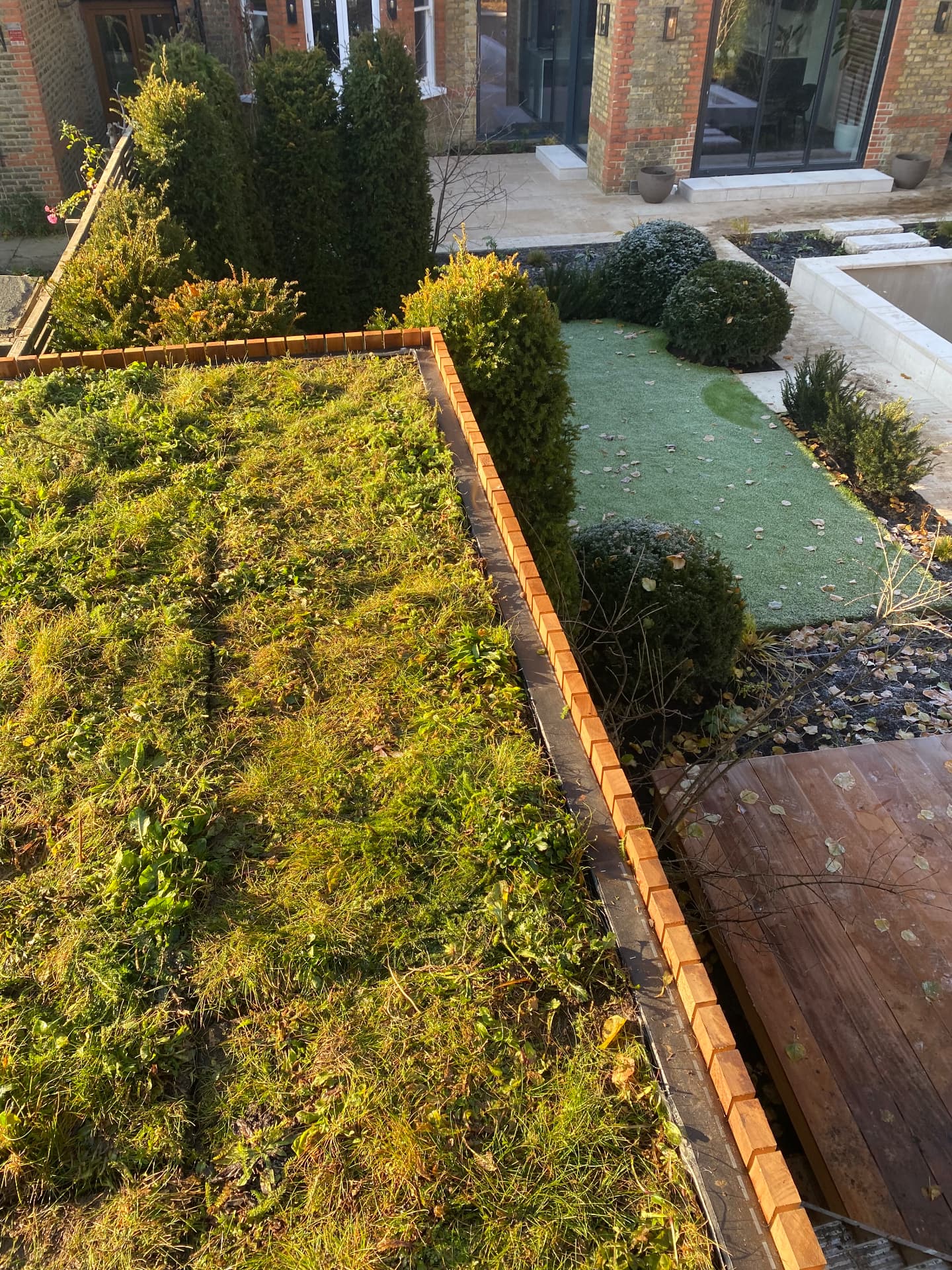 Green roof of wildflower and sedum turf overlooking a planted London garden
