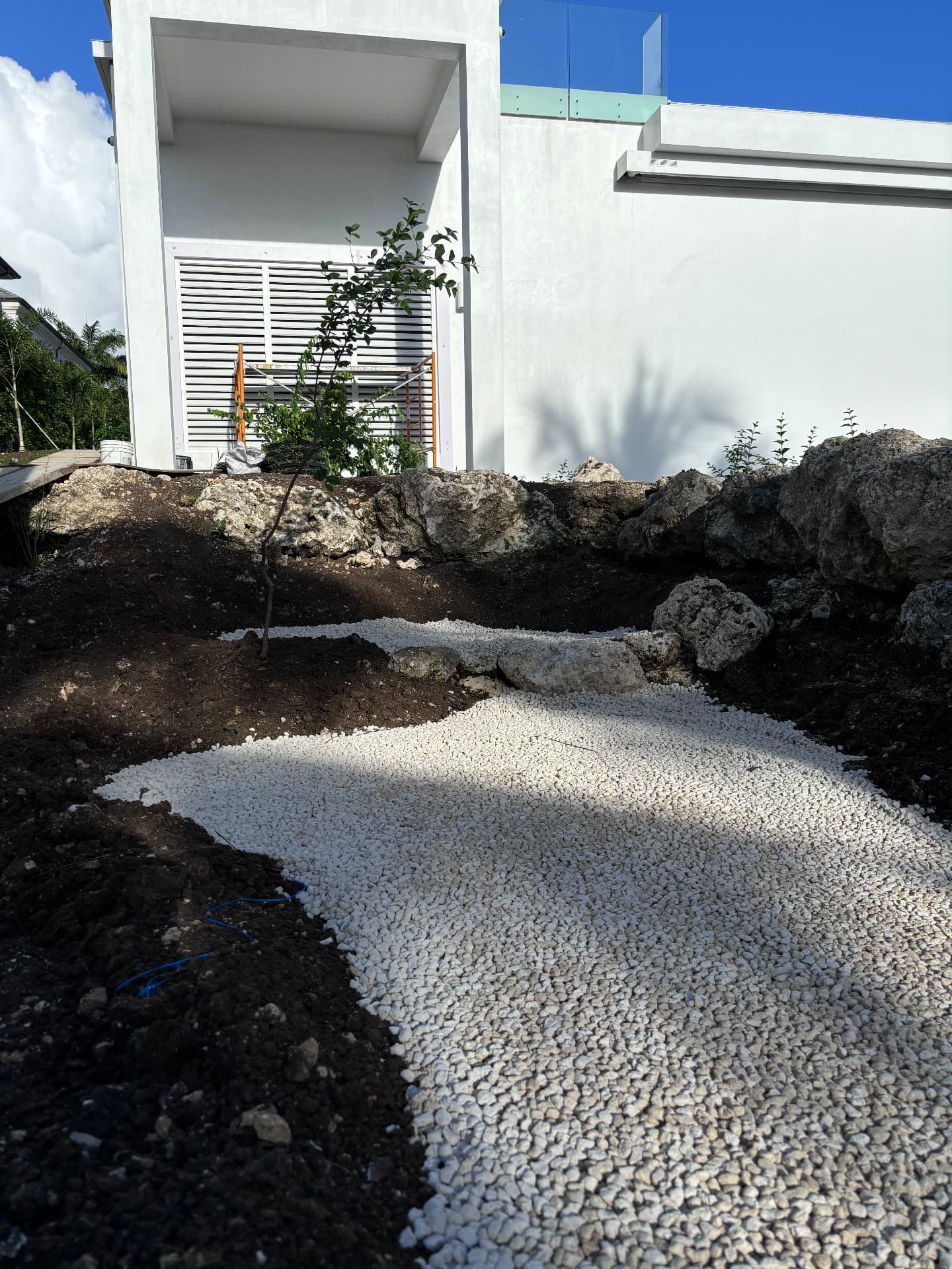 White gravel path curving through dark soil beside coral stone and a young tree