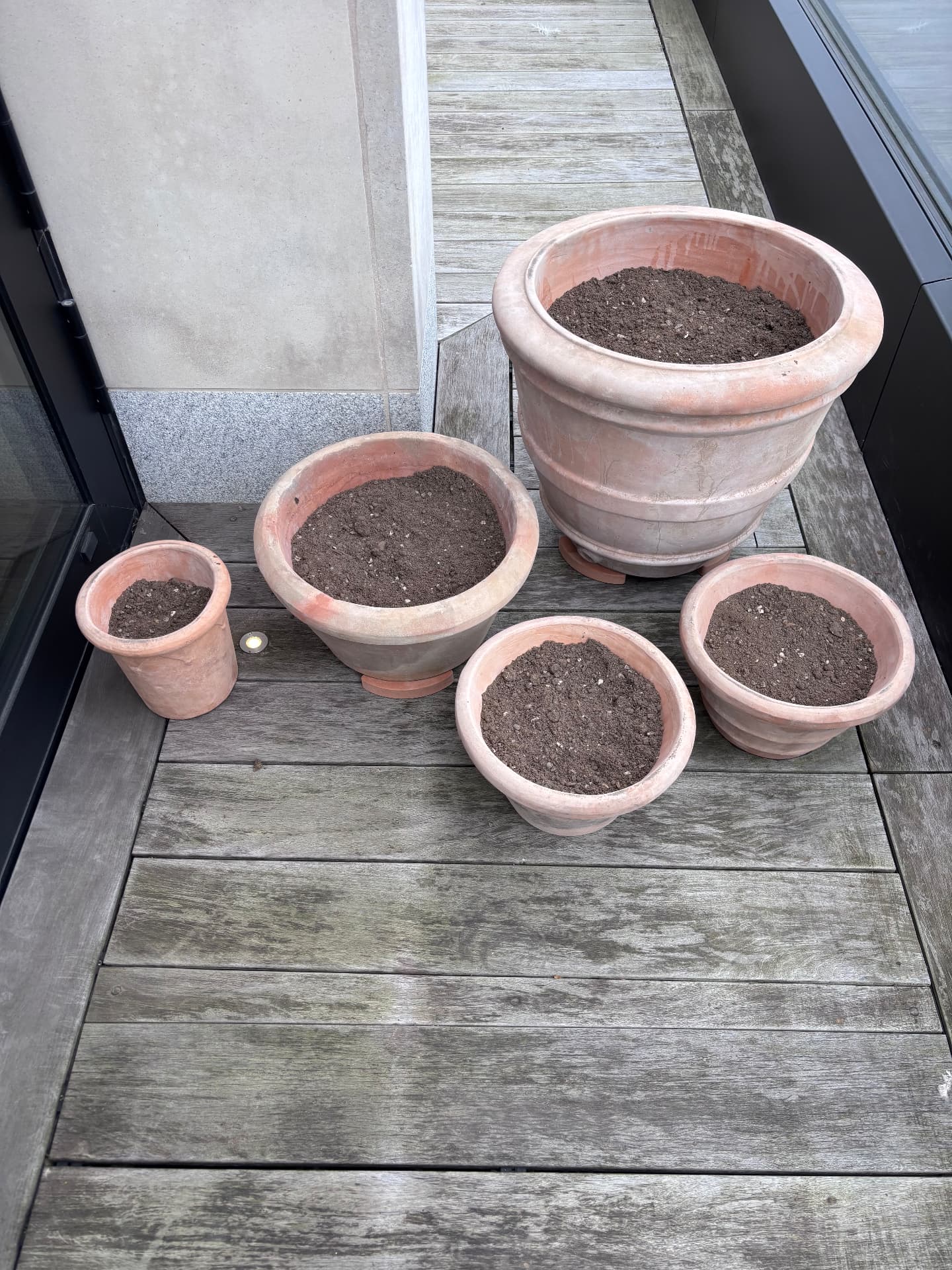 Five aged terracotta pots freshly filled with compost on a timber deck