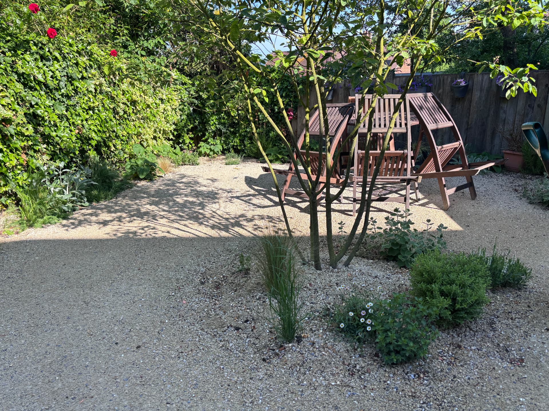 Gravel terrace with table and chairs under a young tree at Stour Close