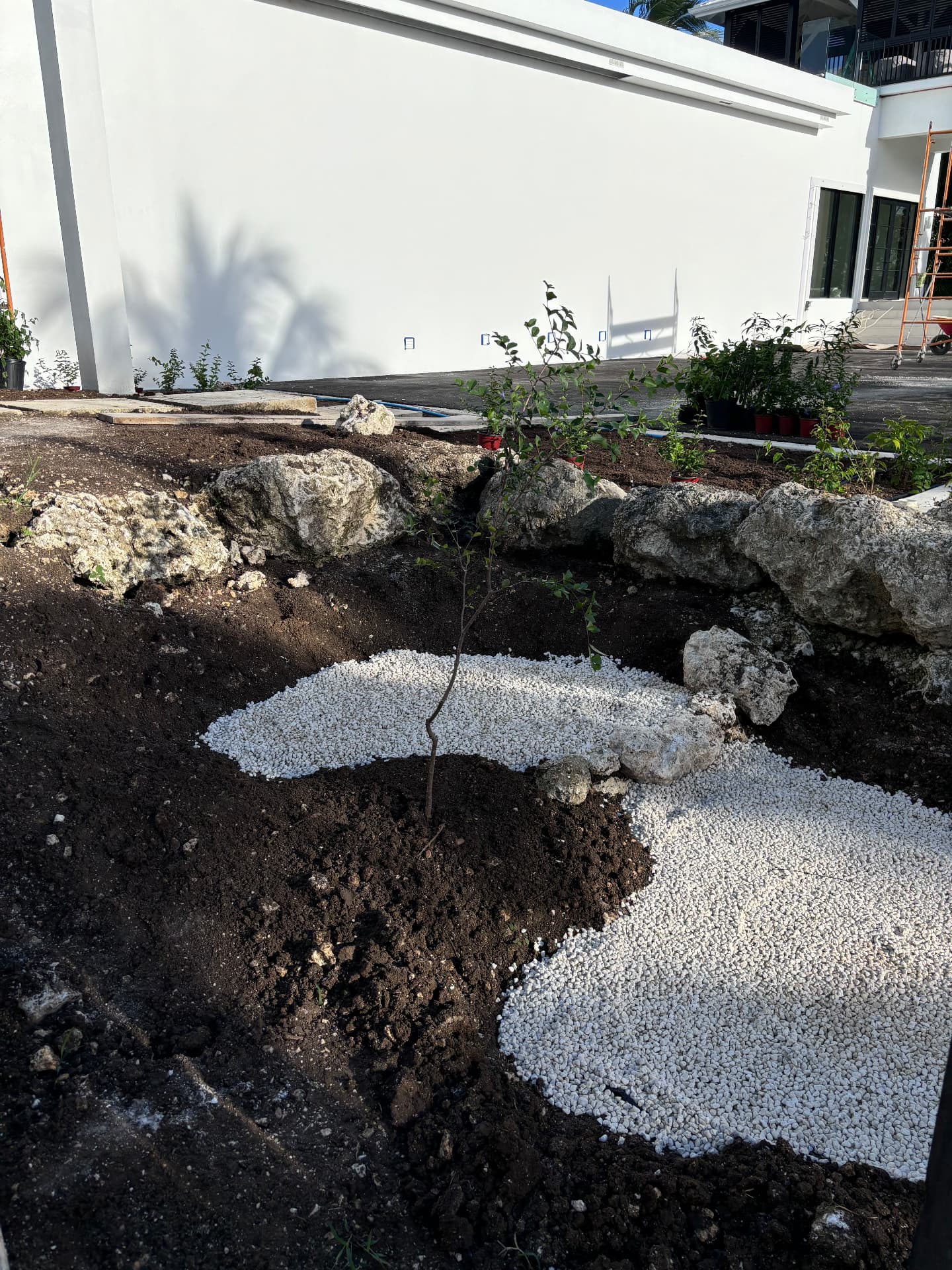 Coral stone retaining edge with new white gravel path and freshly planted bed