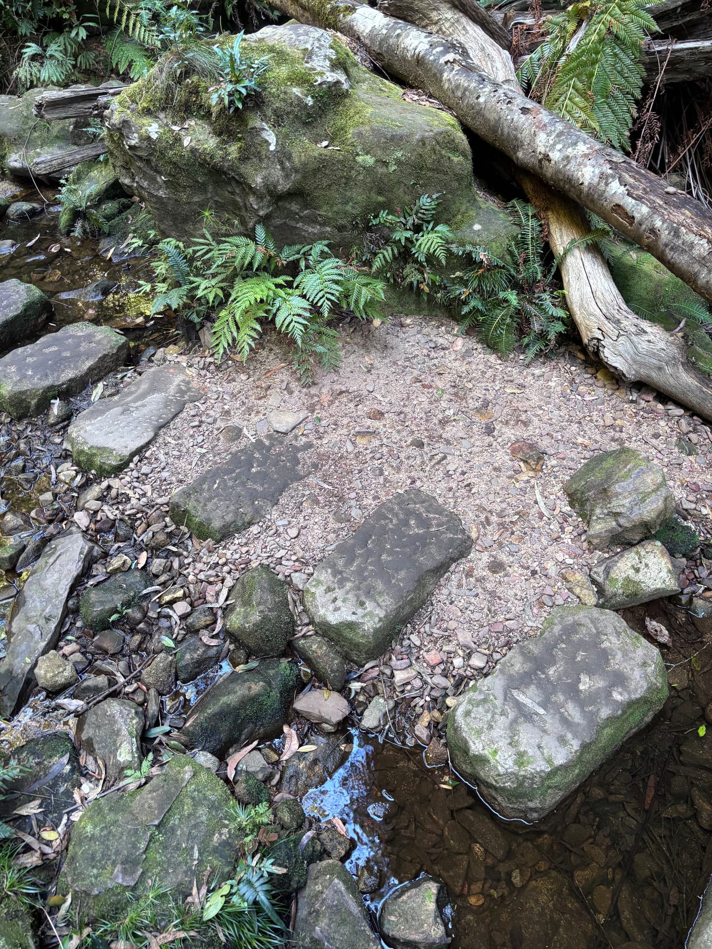 Stone slabs stepping across a fern-lined creek bed in native bush
