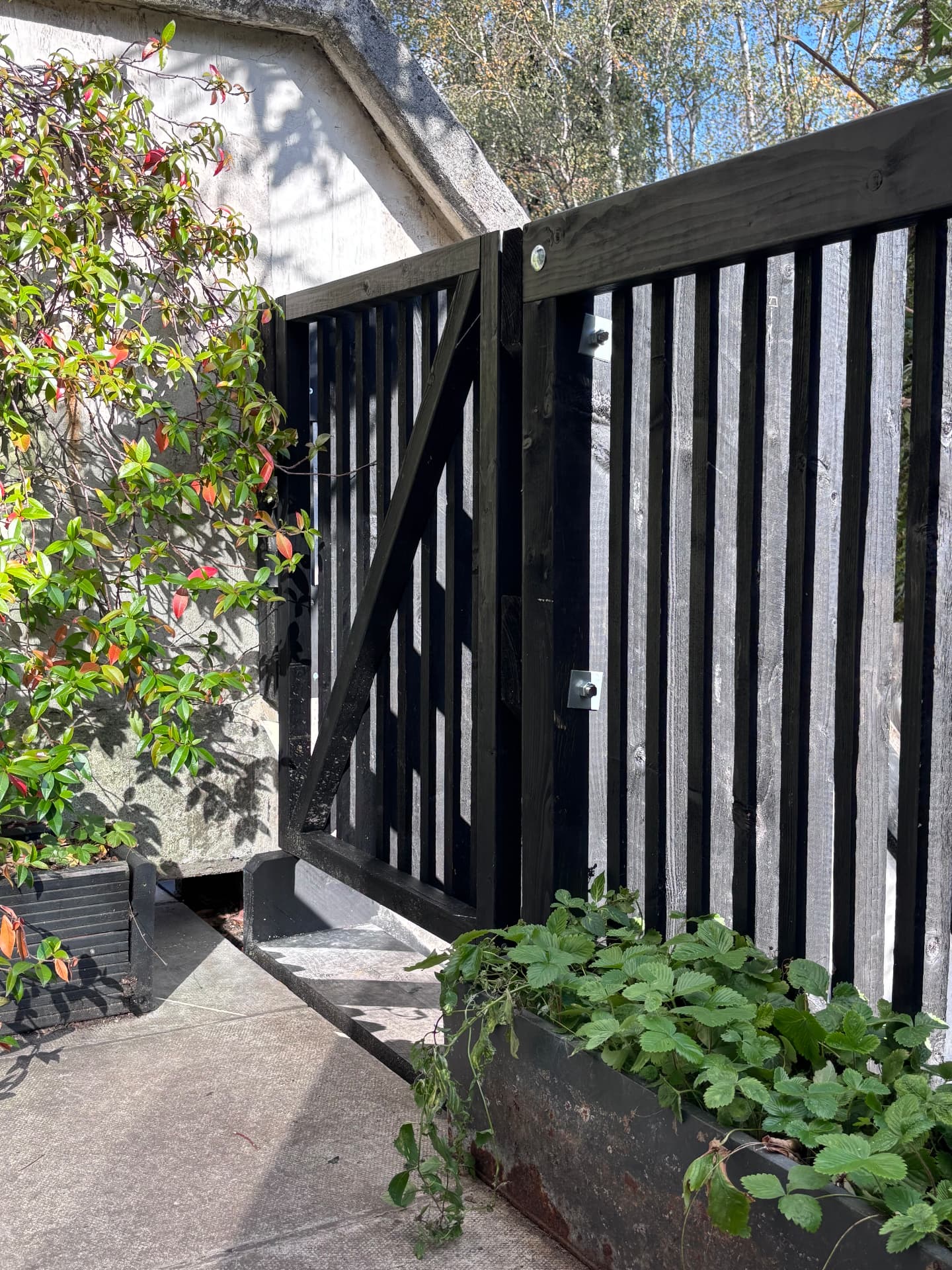 Blackened timber gate and steel planter with strawberries at Rowley Way