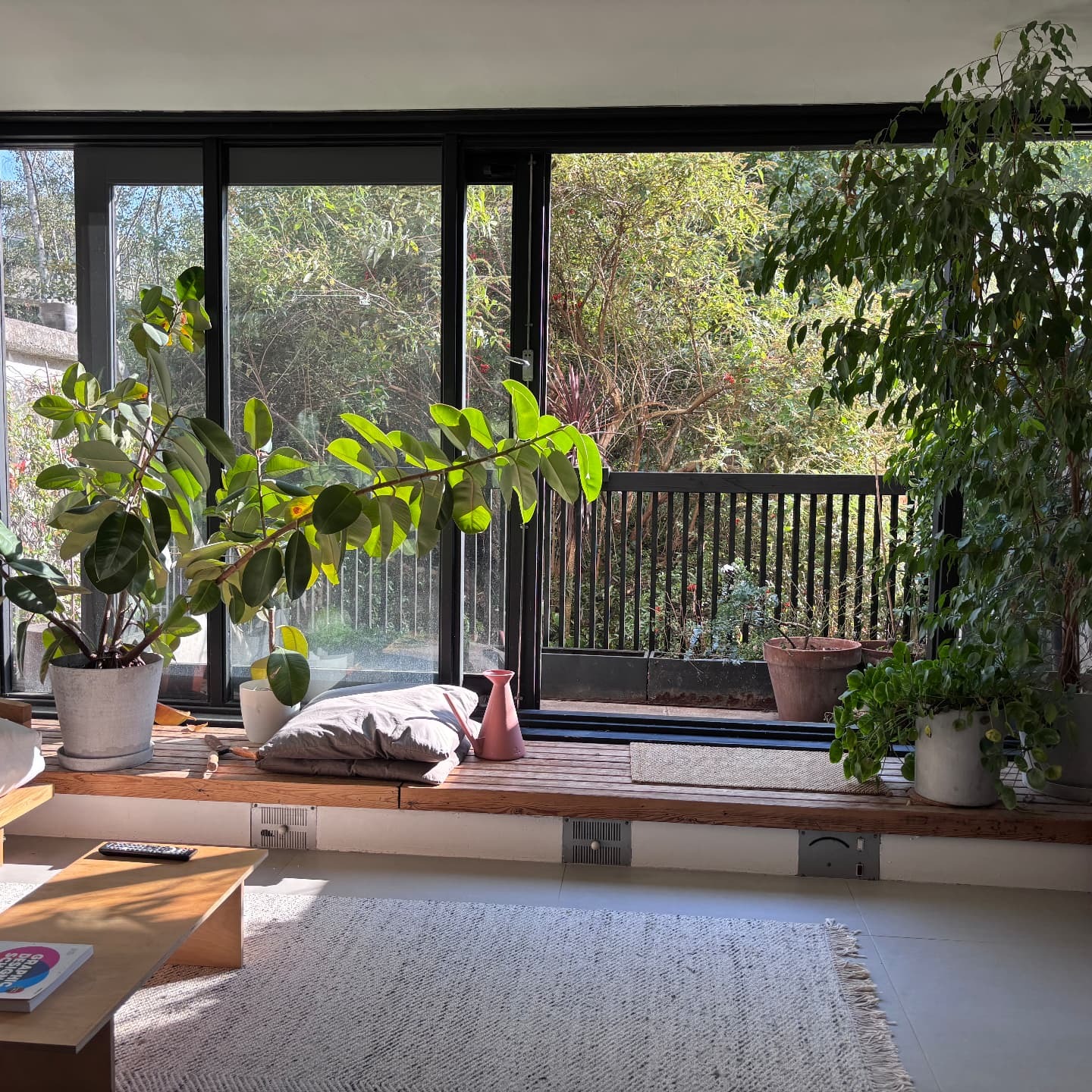 Sunlit living room at Rowley Way opening onto a planted balcony