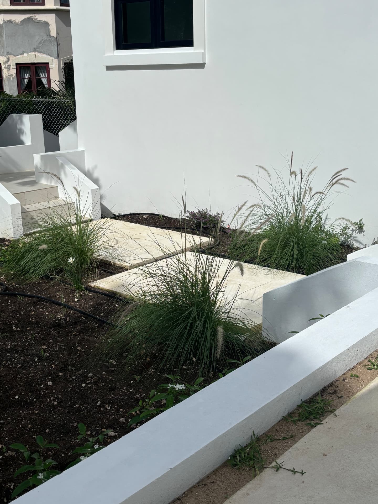 Coral stone stepping path through fountain grass beside white walls